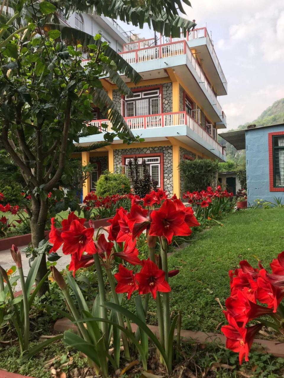 Geo Guest House Pokhara Exterior photo